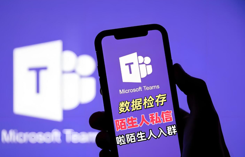 Microsoft Teams 协议软件 支持数据检存 陌生人私信 陌生人拉群等功能|HOOK协议网