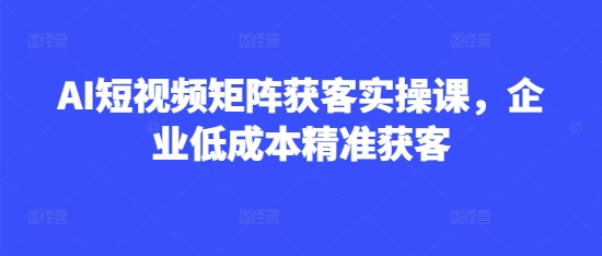 AI短视频矩阵获客实操课，企业低成本精准获客|HOOK协议网