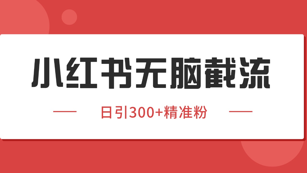 小红书截流同行客源，独家野路子获客玩法 日引200+暴力获客|HOOK协议网