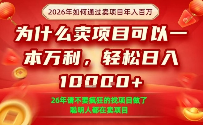 一单净利润1K+，26年想年入100个W，死磕卖项目就够了【揭秘】|协议软件打粉软件