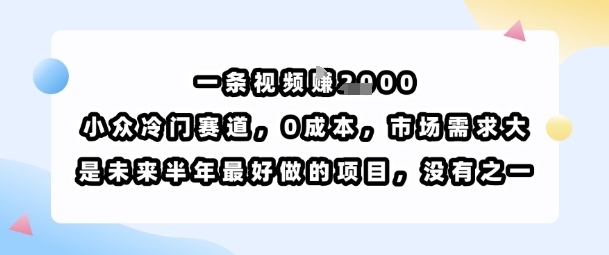 一条视频挣1k，小众冷门赛道，0成本，市场需求大，是未来半年最好做的项目，没有之一|HOOK协议网