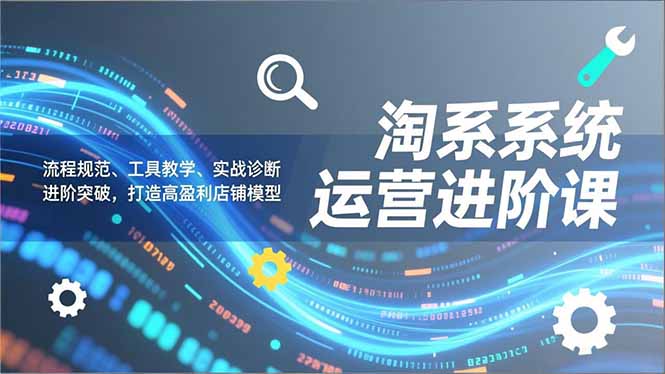 淘系系统运营进阶课2.0，流程规范、工具教学、实战诊断，进阶突破，打造高盈利店铺模型|HOOK协议网