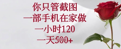 你只管截图，一部手机在家做，一小时120.一天5张【揭秘】|HOOK协议网