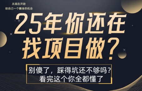 25年，你还在疯狂的找项目吗？别傻了，看完这个你都懂了【揭秘】|HOOK协议网