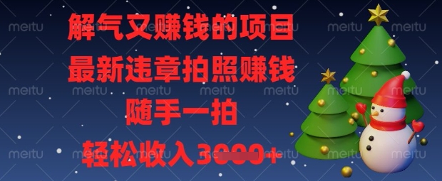 解气又挣钱的项目，最新违章拍照挣钱，随手一拍，轻松收入数张【揭秘】|HOOK协议网