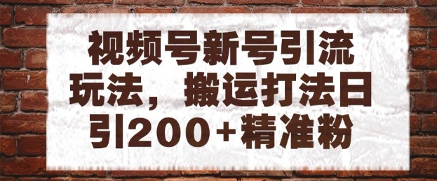 视频号新号引流玩法，搬运打法日引200+精准粉，可矩阵放大【揭秘】|HOOK协议网