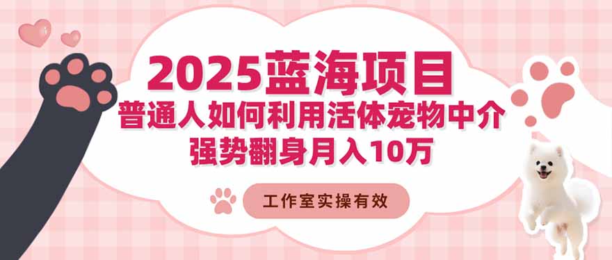 2025蓝海项目：普通人如何利用活体宠物中介，强势翻身月入10万|HOOK协议网
