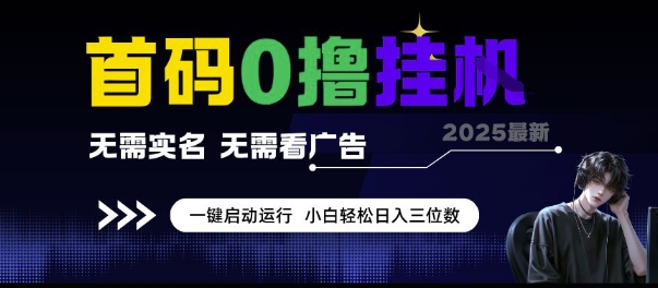 首码0撸挂G项目，无需实名无需看广告 一键启动运行，小白轻松日入三位数【揭秘】|HOOK协议网
