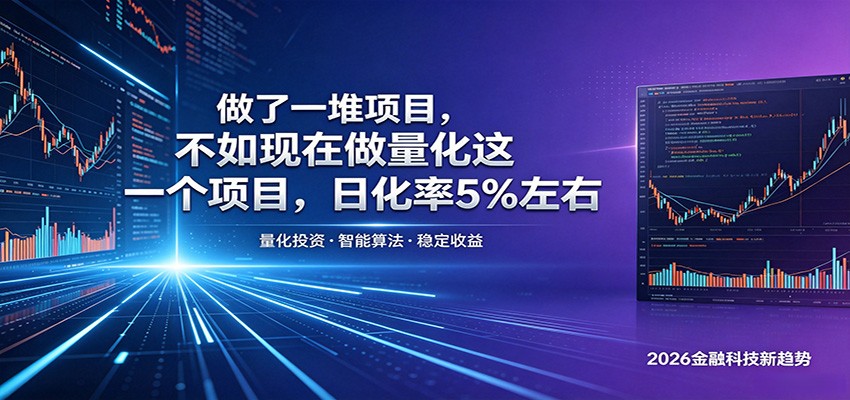 做了一堆项目，不如现在做量化这一个项目，模式简单，收益可控|一人科技公司导航