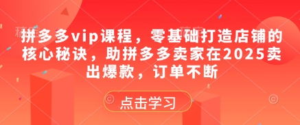 拼多多vip课程，零基础打造店铺的核心秘诀，助拼多多卖家在2025卖出爆款，订单不断|HOOK协议网
