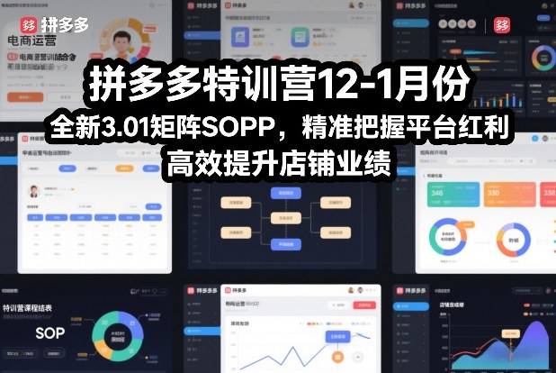 拼多多特训营12-1月份，全新3.01矩阵Sop，精准把握平台红利，高效提升店铺业绩|HOOK协议网