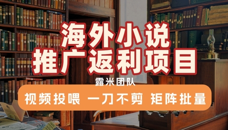海外小说推广返利项目，视频投喂， 一刀不剪，矩阵批量|HOOK协议网