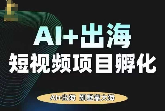 AI·TikTok AI+出海短视频项目孵化，陪你从0-1借助AI实现出海变现|HOOK协议网