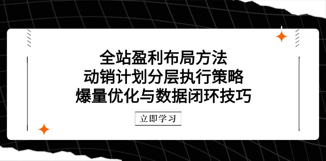 全站盈利布局方法：动销计划分层执行策略，爆量优化与数据闭环技巧|HOOK协议网