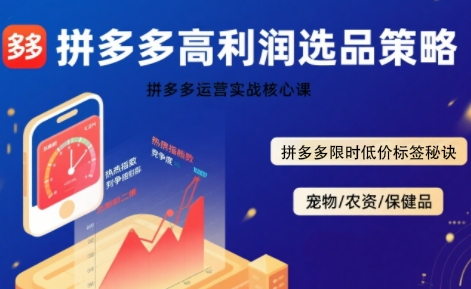 拼多多选品暴利技术实战课，拼多多高利润选品策略，拼多多限时低价标签秘诀|HOOK协议网