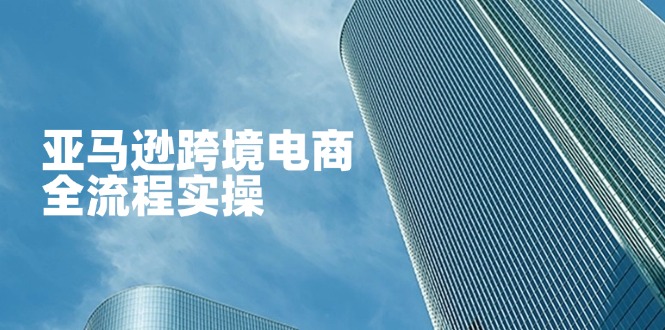 亚马逊跨境电商全流程实操，教你从零开始，掌握店铺运营与广告技巧|HOOK协议网