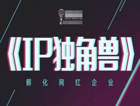 IP独角兽，孵化网红企业，ip教程|HOOK协议网
