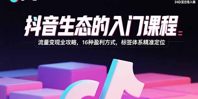 抖音生态的入门课程：流量变现全攻略，16种盈利方式，标签体系精准定位|HOOK协议网