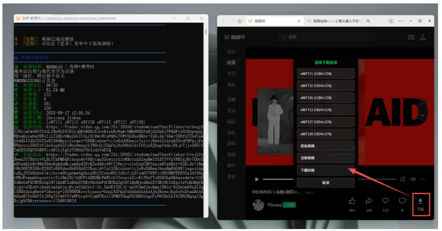 Github热门工具，视频号下载神器又来了！一键注入下载按钮，轻松下载，使用便捷wx_channel|一人科技OPC聚合软件