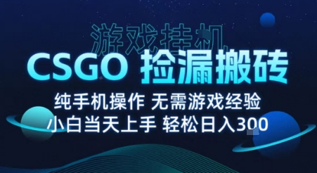 8月最新游戏搬砖，CSGO纯挂G，不需要玩游戏，实现真挂G，月入1W+【揭秘】|HOOK协议网