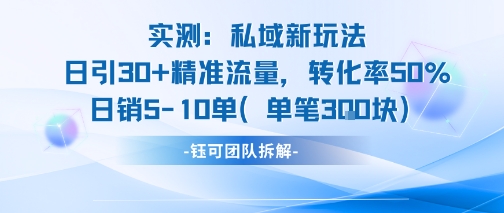 实测私域新玩法日引30加精准流量转化率50%日销5-10单每笔3张|HOOK协议网