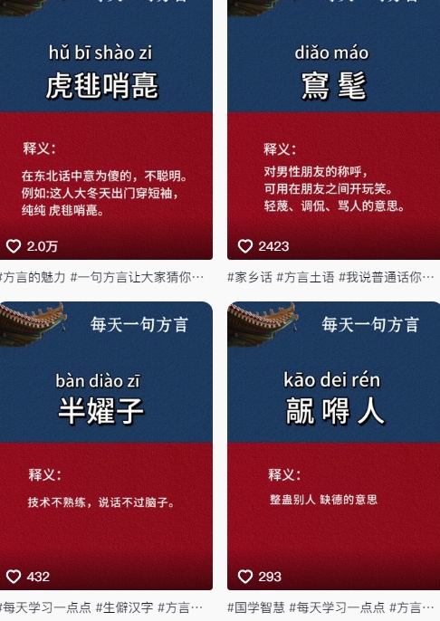 抖音最新涨粉玩法，图文方言暴力涨粉实操，126作品涨粉11W|HOOK协议网