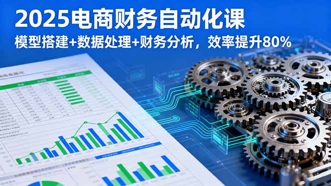2025电商财务自动化课，模型搭建+数据处理+财务分析，效率提升80%|HOOK协议网