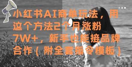 小红书AI商单玩法，用这个方法2个月涨粉7W+，新手也能接品牌合作(附全套指令模板)|HOOK协议网