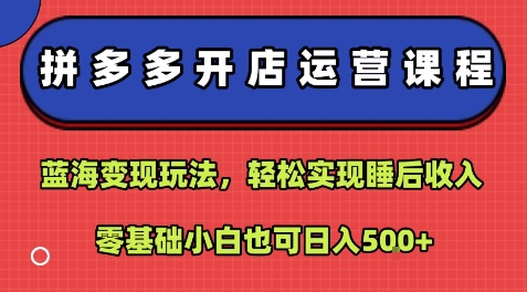 拼多多开店运营课程：蓝海变现玩法，轻松实现睡后收入，零基础小白也可日入5张|HOOK协议网