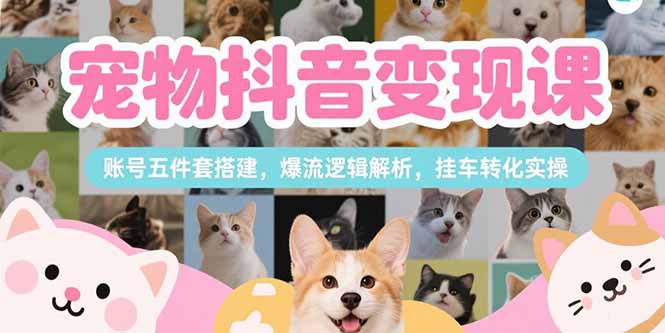 宠物抖音变现课，账号五件套搭建，爆流逻辑解析，挂车转化实操|HOOK协议网