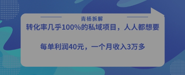 转化率最高的私域项目，每单利润40-50米，月入过1w|HOOK协议网