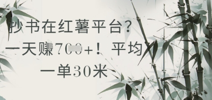 抄书在小红薯平台？平均一单30米，一天收益几张！|HOOK协议网