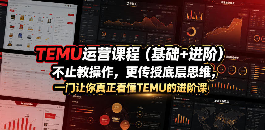 TEMU运营课程(基础+进阶)，不止教操作，更传授底层思维，一门让你真正看懂TEMU的进阶课|一人科技公司导航
