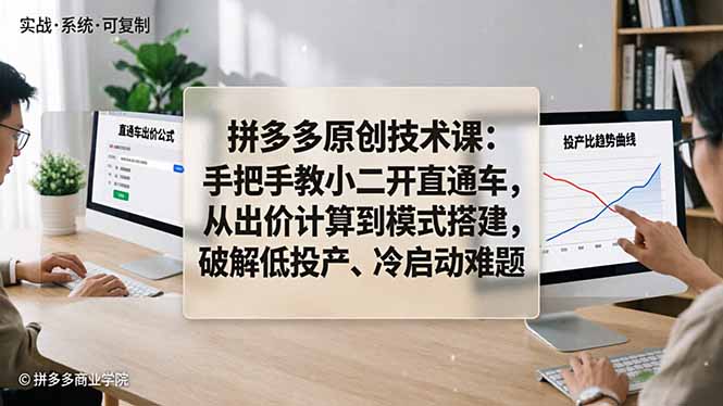 拼多多原创技术课：手把手教小二开直通车，从出价计算到模式搭建，破解低投产、冷启动难题|协议软件打粉软件