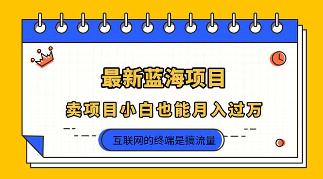 2025年最新蓝海项目，卖项目小白也能月入过万|HOOK协议网
