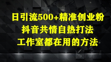 日引流500+精准创业粉，抖音共情自热打法，工作室都在用的方法|HOOK协议网
