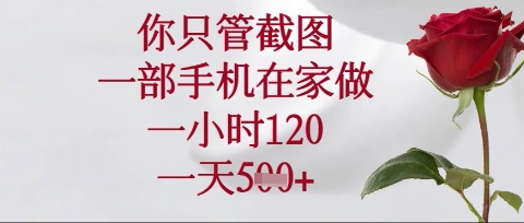 你只管截图，一部手机在家操作，一小时120.一天5张【揭秘】|HOOK协议网