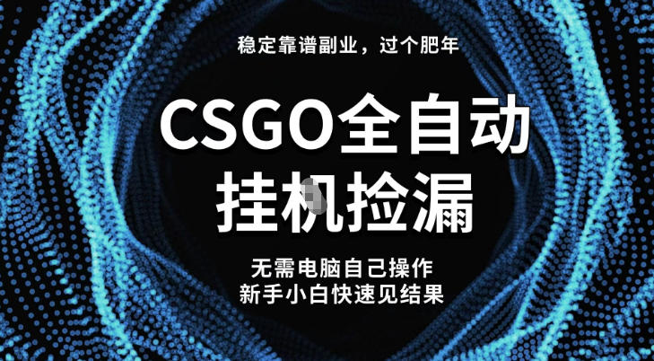 【稳定副业】全球最热门游戏CSGO全自动捡漏，最新玩法，新手小白日入5张+【揭秘】|HOOK协议网