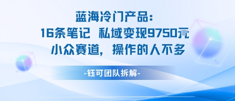 蓝海项目：16条笔记私域变现9750米小众赛道操作的人不多|HOOK协议网