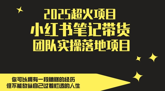 2025超火项目，副业最佳选择，小红书笔记带货团队实操落地项目，，轻松日入5张|HOOK协议网