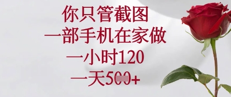 你只管截图，一部手机在家做，苹果安卓都可以，一小时120，一天5张+【揭秘】|HOOK协议网
