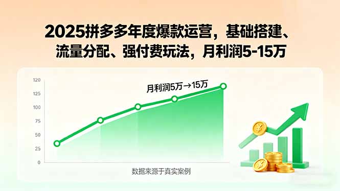 2025拼多多年度爆款运营，基础搭建、流量分配、强付费玩法，月利润5-15万|HOOK协议网