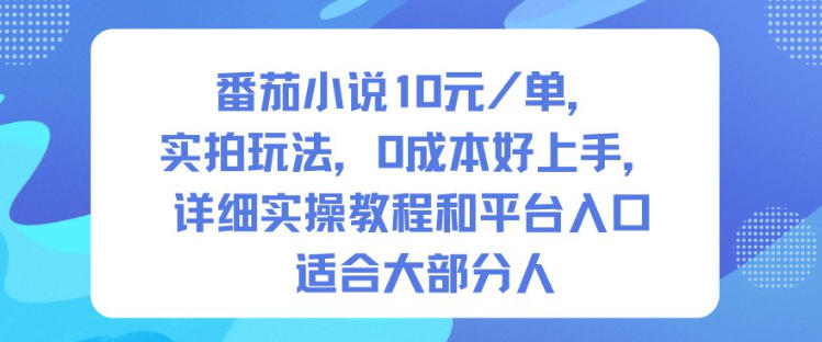 番茄小说10米每单，实拍玩法，0成本好上手，详细实操教程和平台入口适合大部分人|HOOK协议网