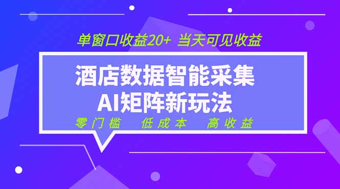 2026酒店数据采集ai智能矩阵新风口  低成本   高收益   当天见收益   单窗口20+|一人科技公司导航