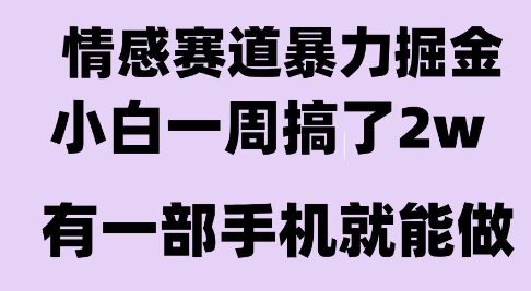情感暴力掘金项目，新人操作一周挣了2W，长期稳定小白可做【揭秘】|HOOK协议网