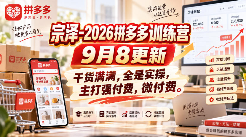 宗泽-2026拼多多训练营9月8更新，干货满满，全是实操，主打强付费，微付费|一人科技OPC聚合软件