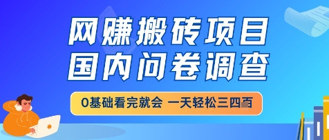 网创搬砖项目，国内问卷调查，小白轻松上手，一天三四张的也不难，干就完了【揭秘】|HOOK协议网