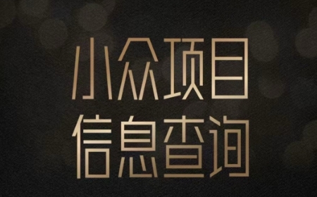 小众蓝海项目情感查询，女粉暴力掘金，轻松日入500+【揭秘】|HOOK协议网
