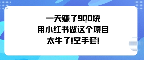 一天挣了9张用小红书做这个项目太牛了，空手套|HOOK协议网
