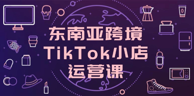 东南亚跨境TikTok小店运营课，掌握店铺设置与流量转化核心技巧|HOOK协议网